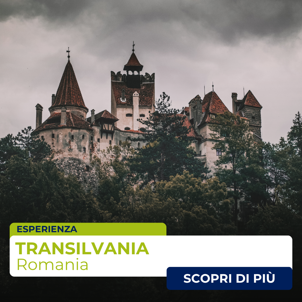 3-PrenotACI-Transilvania-Romania 3-PrenotACI-Transilvania-Romania